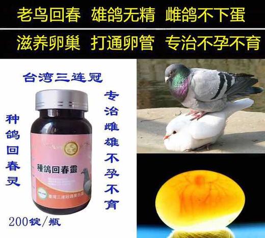 【种鸽回春灵】 200锭 ， 调整配对高峰 专治雌鸽不孕 雄鸽无精（台湾三连冠） 商品图0