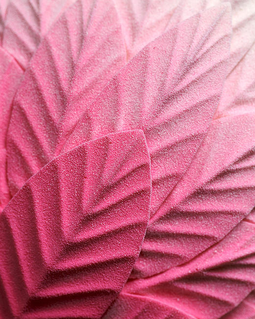 普罗旺斯初夏-茉莉荔枝慕斯生日蛋糕（2.2磅） 商品图3