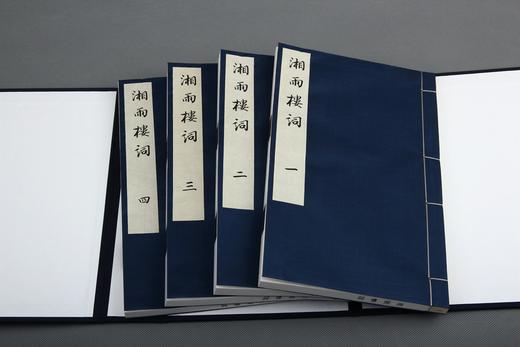 湖湘词派《湘雨楼词》—— 墨印本 商品图1