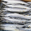 海鲜食材烧烤特大号秋刀鱼 商品缩略图1