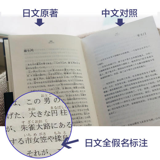 罗生门·芥川龙之介短篇作品选（日汉对照·精装有声版） 商品图1