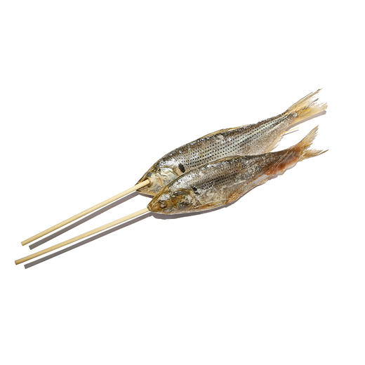 冻气泡鱼串(1串)