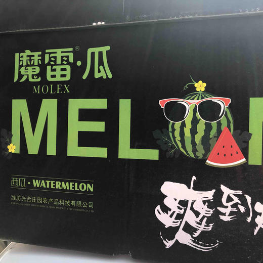 魔雷精品西瓜