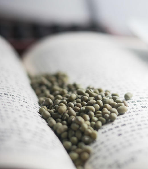 *自营*绿豆400g*2大罐 | 东北源产区种植。易煮煲汤煮饭配料。 商品图5