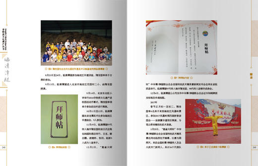 临清潭腿(非物质文化遗产丛书） 商品图3