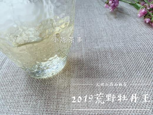 2019荒野牡丹王，独坐幽篁里的雅淡疏狂！ 商品图10