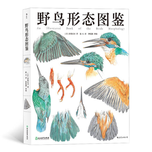 野鸟形态图鉴（关于51种野鸟的翼、足、喙、眼 自然观察者用画笔记录下的飞羽邂逅） 商品图0