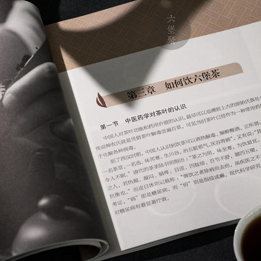 【售罄】《广西地理标志产品-六堡茶》马士成 杨麦 著 商品图3