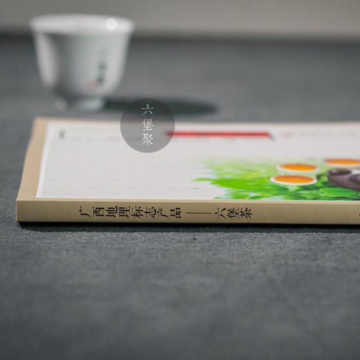 【售罄】《广西地理标志产品-六堡茶》马士成 杨麦 著 商品图5