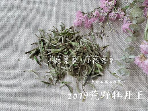2019荒野牡丹王，独坐幽篁里的雅淡疏狂！ 商品图4