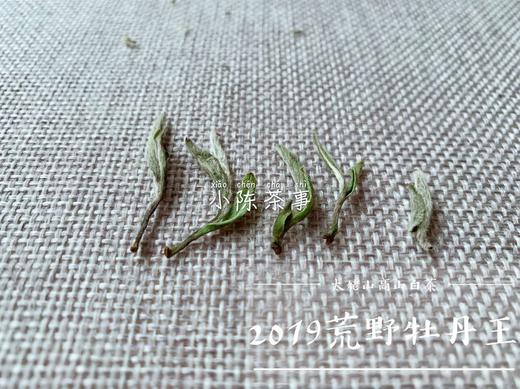 2019荒野牡丹王，独坐幽篁里的雅淡疏狂！ 商品图1