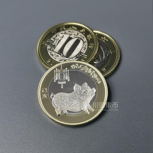 2019猪年生肖纪念币 商品图0