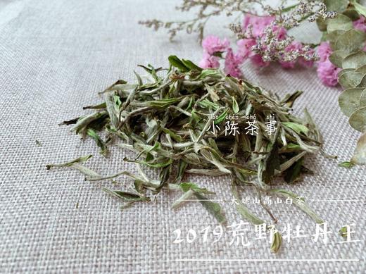 2019荒野牡丹王，独坐幽篁里的雅淡疏狂！ 商品图5