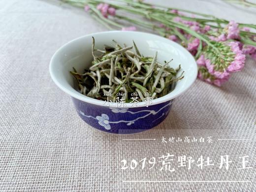 2019荒野牡丹王，独坐幽篁里的雅淡疏狂！ 商品图8