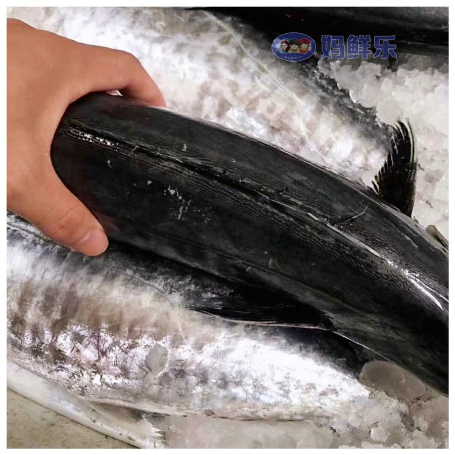 【马鲛鱼头】野生大马鲛鱼头,一份净重约500-550克,炖汤好喝