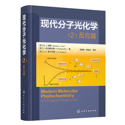 现代分子光化学（2)：反应篇 商品图0