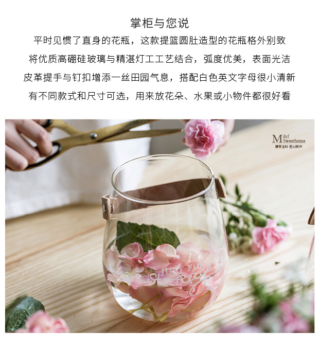 摩登主妇手提玻璃铜钱草水培瓶英文字母花盆创意插花瓶收纳罐子