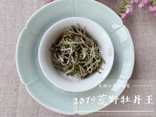 2019荒野牡丹王，独坐幽篁里的雅淡疏狂！ 商品图6