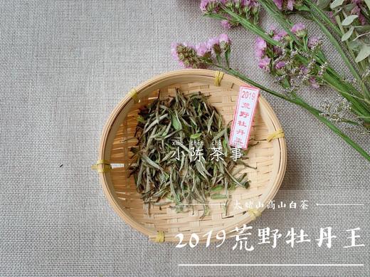 2019荒野牡丹王，独坐幽篁里的雅淡疏狂！ 商品图0