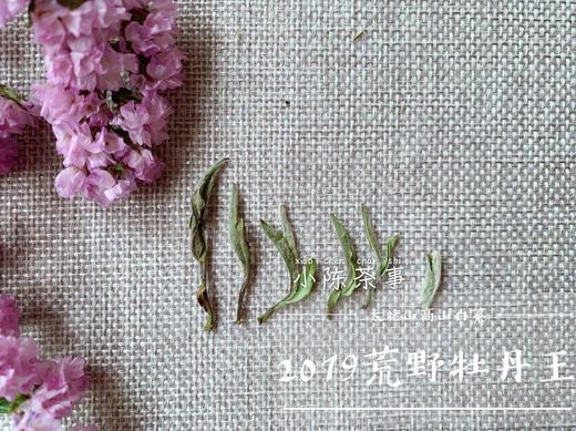 2019荒野牡丹王，独坐幽篁里的雅淡疏狂！ 商品图2