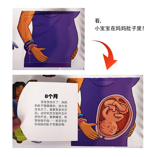 我们的身体V2.1+性别常识互动游戏书   适读年龄：0+  原价：254.8元 商品图3