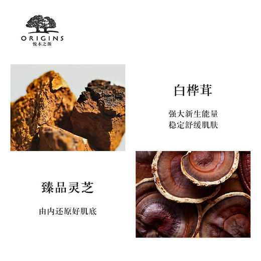 美国原装进口 origins/悦木之源韦博士灵芝焕能精华水套装 爽肤水灵芝水菌菇水200ml 商品图2