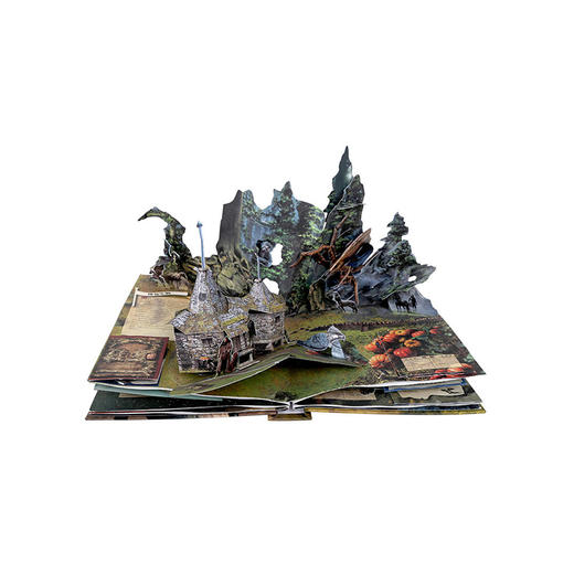 【赵建的读书日记】乐乐趣-魔法再现，世界经典立体书珍藏版-哈利波特 商品图5