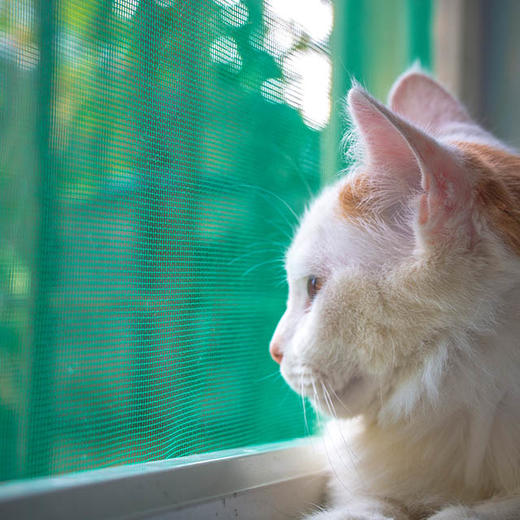 换纱窗（仅限世纪城业主，每户体验一次） 商品图0