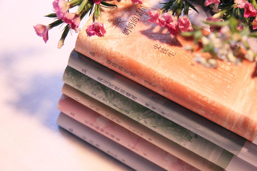 双峰文丛（6本套装）：张炜《我与沉默的橡树》、吉狄马加《大河·不朽者》、苏童《夏天的一条街道》、 韩少功《归去来》、史铁生《奶奶的星星》、叶兆言《折得疏梅香满袖》 商品图5