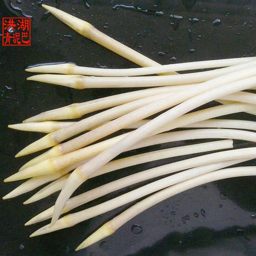 【下单后48小时左右发货】湖北 荆州 洪湖青泥巴 藕带2斤装左右 商品图1