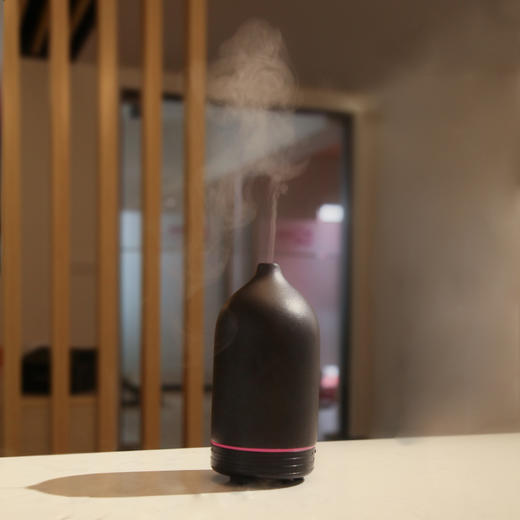 area aroma 陶瓷短嘴水养仪/香薰机酒店相近款 商品图1