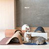 pidan宠物跑道地毯可拆洗猫咪玩耍垫子【一套4张】 商品缩略图3