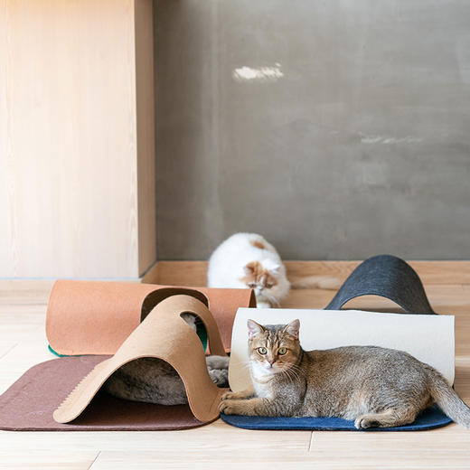 pidan宠物跑道地毯可拆洗猫咪玩耍垫子【一套4张】 商品图3
