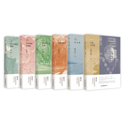 双峰文丛（6本套装）：张炜《我与沉默的橡树》、吉狄马加《大河·不朽者》、苏童《夏天的一条街道》、 韩少功《归去来》、史铁生《奶奶的星星》、叶兆言《折得疏梅香满袖》 商品图2