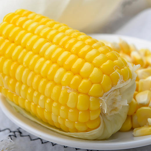 玉米 /条 商品图3