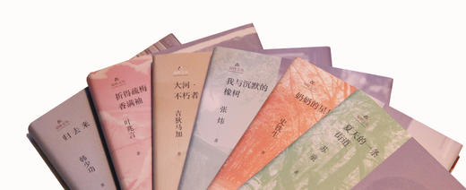 双峰文丛（6本套装）：张炜《我与沉默的橡树》、吉狄马加《大河·不朽者》、苏童《夏天的一条街道》、 韩少功《归去来》、史铁生《奶奶的星星》、叶兆言《折得疏梅香满袖》 商品图3