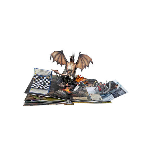 【赵建的读书日记】乐乐趣-魔法再现，世界经典立体书珍藏版-哈利波特 商品图3