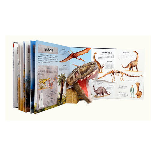 乐乐趣 趣味科普立体书恐龙 适读年龄：3+   商品图6