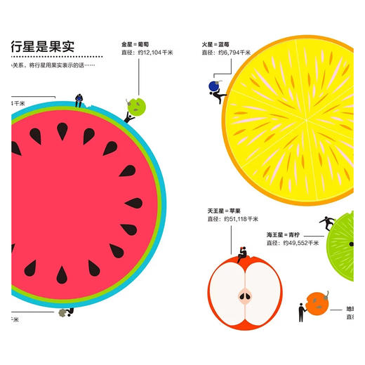 【神奇麻麻】乐乐趣-百科信息图（共4册）  适读年龄：2+ 商品图7