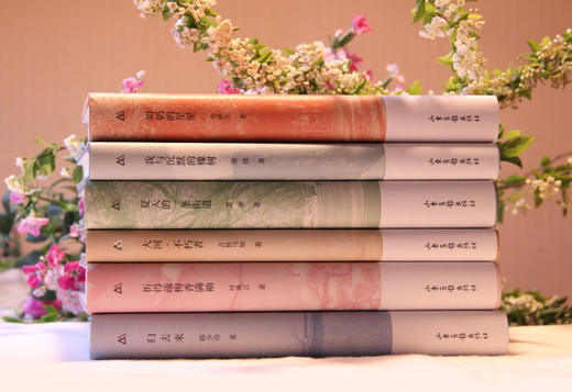 双峰文丛（6本套装）：张炜《我与沉默的橡树》、吉狄马加《大河·不朽者》、苏童《夏天的一条街道》、 韩少功《归去来》、史铁生《奶奶的星星》、叶兆言《折得疏梅香满袖》 商品图1