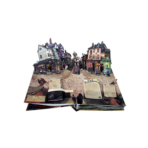 【赵建的读书日记】乐乐趣-魔法再现，世界经典立体书珍藏版-哈利波特 商品图2