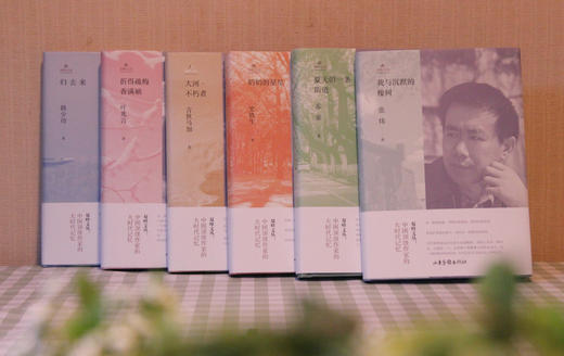 双峰文丛（6本套装）：张炜《我与沉默的橡树》、吉狄马加《大河·不朽者》、苏童《夏天的一条街道》、 韩少功《归去来》、史铁生《奶奶的星星》、叶兆言《折得疏梅香满袖》 商品图4