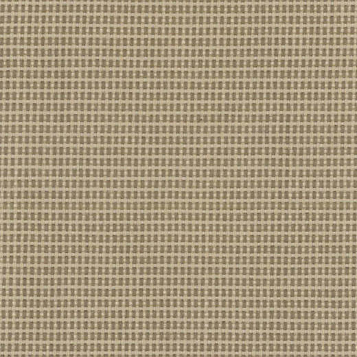 15221121百分百Olefin色织布适用于室内、户外和酒店工程 商品图0