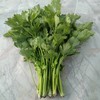 芹菜 商品缩略图0