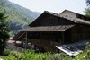 古树镇山红 武夷山桐木关古树红茶 商品缩略图7