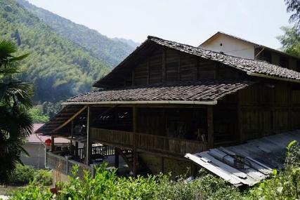 古树镇山红 武夷山桐木关古树红茶 商品图7