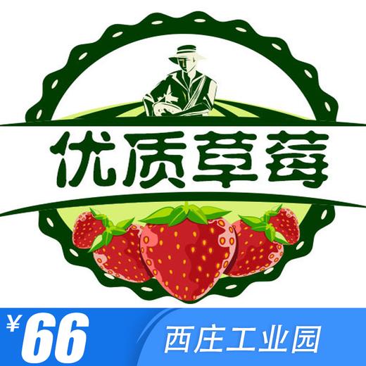 【优质草莓采摘园】优质草莓美味京城,莓香天下,西庄工业园