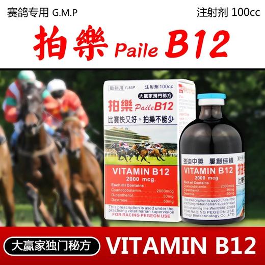 【维生素B12】鸽子赛马 斗鸡 比赛赛鸽注射剂100ml 高效能营养剂 大赢家独门秘方 致胜秘密武器 (拍乐paile) 商品图1