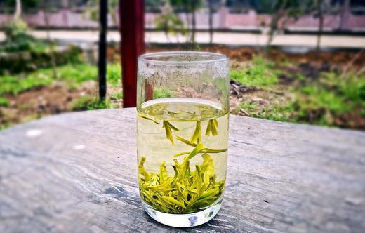 2026年群体种头采龙井 无污染农药零残留 商品图3