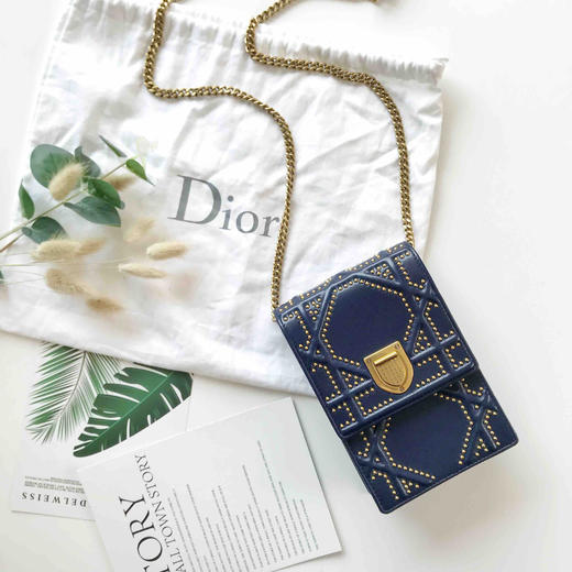 dior diorama手机包
